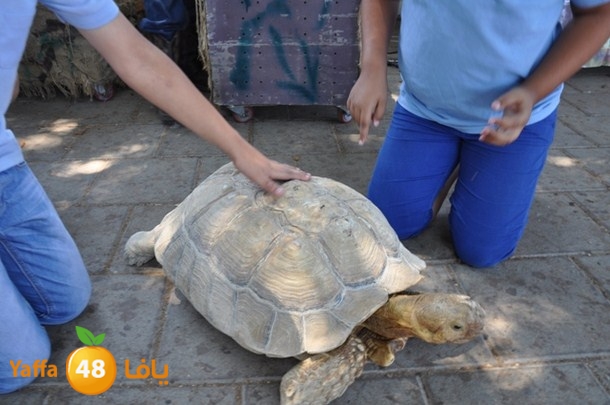 schoool okhowa 3arafa (16).JPG